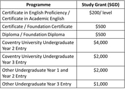 SEA Study Grant 2024 (IP & UG)